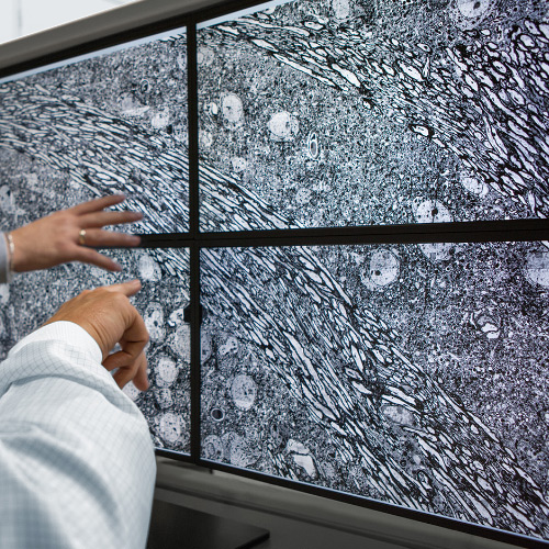 Obrázek čtyř obrazovek zobrazujících snímky pořízené mikroskopem ZEISS MultiSEM. 